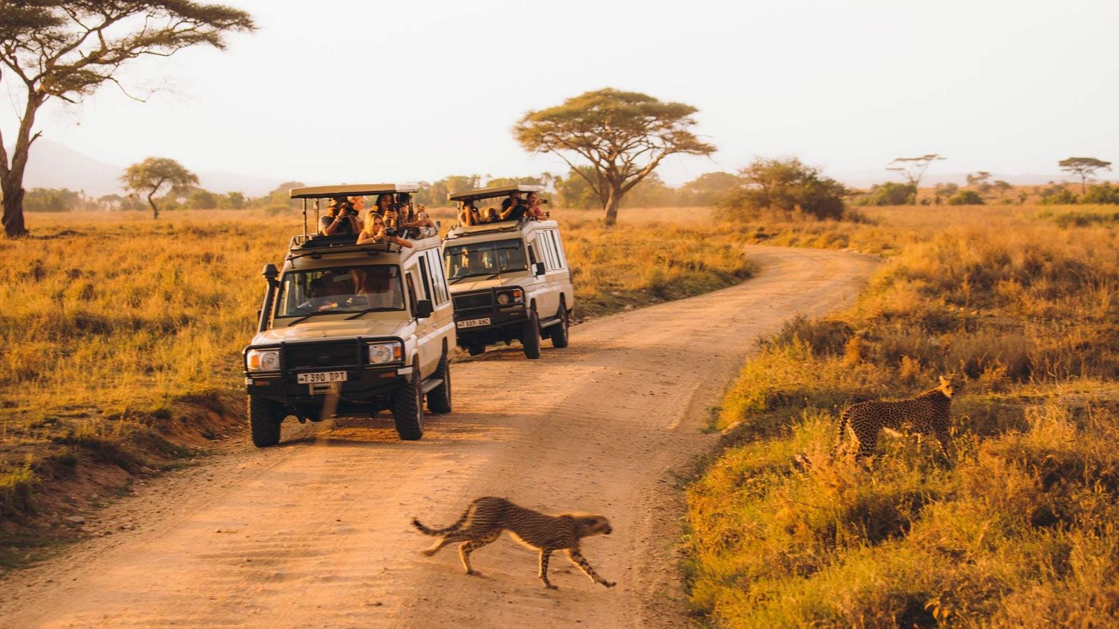 Jeep Safari in Tansania