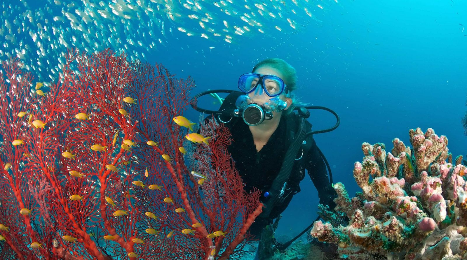 Malediven Tauchferien