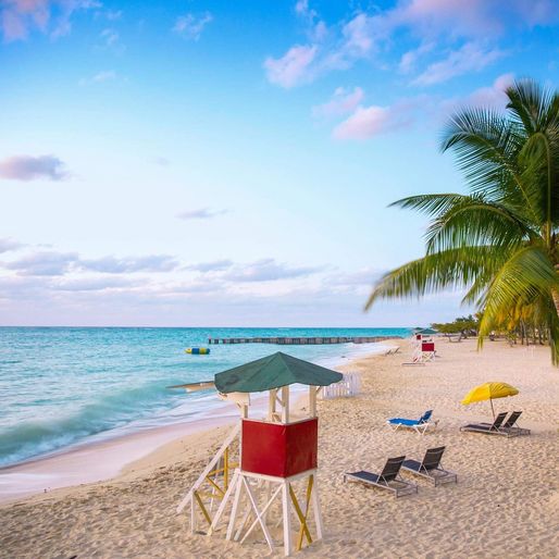 Im Februar nach Jamaika