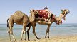 Hotel Seabel Aladin, Tunesien, Djerba, Aghir, Bild 24