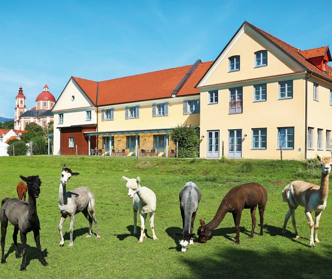JUFA Hotel Pöllau - Bio-Landerlebnis, Österreich, Steiermark, Pöllau, Bild 1